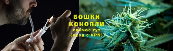 крисы Бронницы