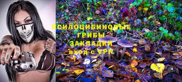 кокс Михайлов