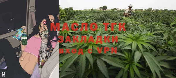 крисы Бронницы