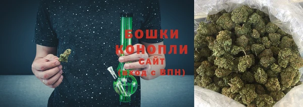 крисы Бронницы