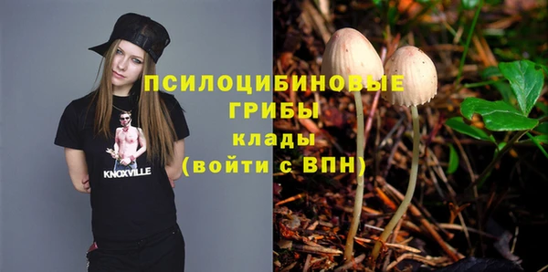 крисы Бронницы